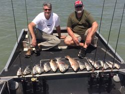 Black Drum Delight: Rockport's Inshore Fishing 