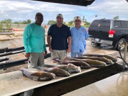 Fishing Guide Rockport, Unmatched Adventure