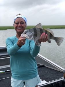 Black Drum caught in Rockport, Texas