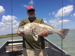 Angler with a big Black Drum fish in Rockport