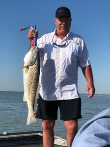 Redfish caught in Rockport
