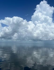 Exciting TX Cruises, Fishing, and Tours Experience