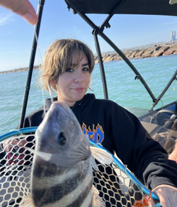 A fisherman catches a black drum fish on South Padre Island