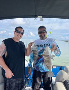Two black drum fish caught on a fishing trip in South Padre Island