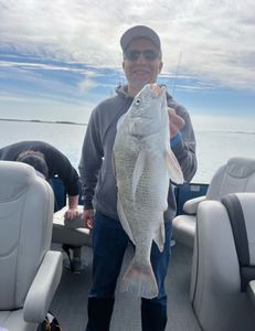 A person fishing for a large black drum at South Padre Island