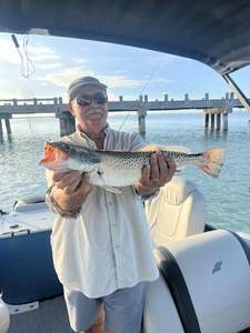 Nice speckled trout on light tackle drift fishing today!