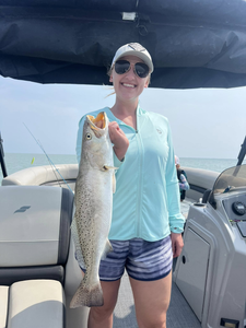 Spotted Weakfish, 24 inches, caught at South Padre Island
