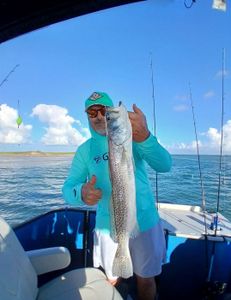 Spotted Weakfish caught on cruises, fishing, and tours in TX