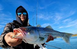 Atlantic City: Where the fish are always biting