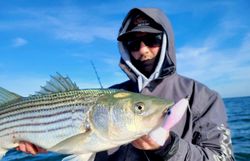 Sun, sea, and fishing in AC