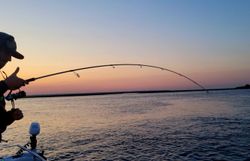 Fishing excitement at every turn in Atlantic City