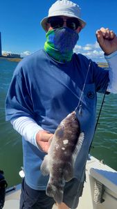 Fish-Species