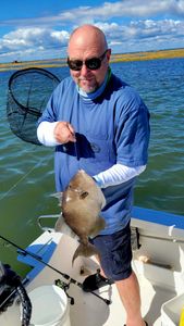 Fish-Species