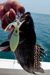 Fishing in New Jersey