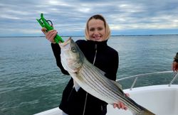 Striped bass caught fishing in NJ
