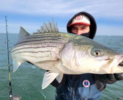 Striped bass caught in NJ