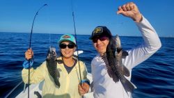 Two sea bass caught during a fishing trip in Atlantic City