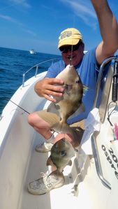 Two grey triggerfish caught while fishing in NJ