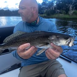 Solid speckled trout action on the water!