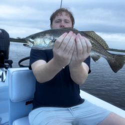 Strong speckled trout catch on the bay!