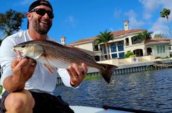 Bright redfish moment on the flats!