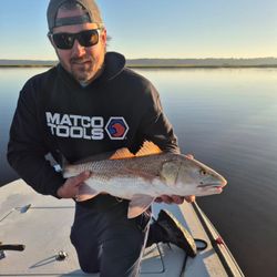 Sunlit redfish morning on the flats!