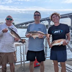Solid redfish haul under the bridge!