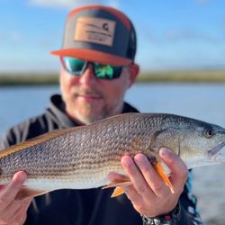 Redfish caught on a fishing trip in FL