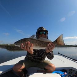 Redfish, 23 inches, caught fishing in Jacksonville, Florida