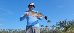 Redfish caught in Jacksonville fishing