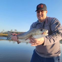 Redfish caught in FL