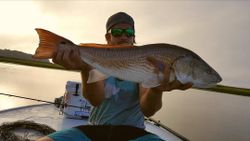 Redfish caught by angler in Florida