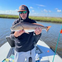 Redfish caught while fishing in FL