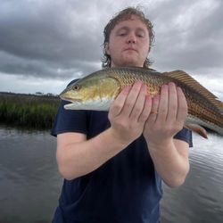 Angler catches a redfish in Jacksonville