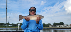 Light tackle triumph: A 19-inch redfish in stormy Jacksonville!