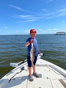 Redfish, 18-inch catch in Florida