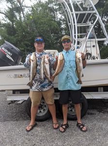 Redfish catch of 5 fish on fishing tour in FL