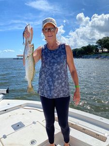 Spotted weakfish caught while fishing in FL