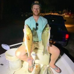 Striped bass caught fishing in Milton