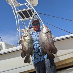 Two big tripletail fish caught in FL
