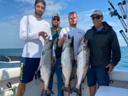 Chinook Salmon and Rainbow Trout, 3 big fish caught in NY
