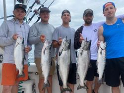5 sea trout and chinook salmon fish caught in NY