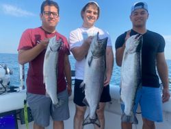 3 Chinook and Coho salmon caught in Wilson