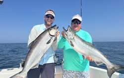 Two Chinook Salmon, 29 inches long, caught while fishing in Wilson