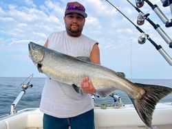 Angler fishing in New York