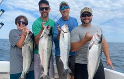 Four Chinook Salmon, measuring 27 inches, caught while fishing in NY