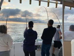 Great fishing spot in Wilson