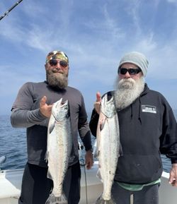 Two chinook salmon and coho salmon caught in wilson