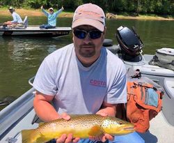 White River brown trout	