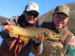 Big brown trout	